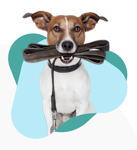Perro con corbatín