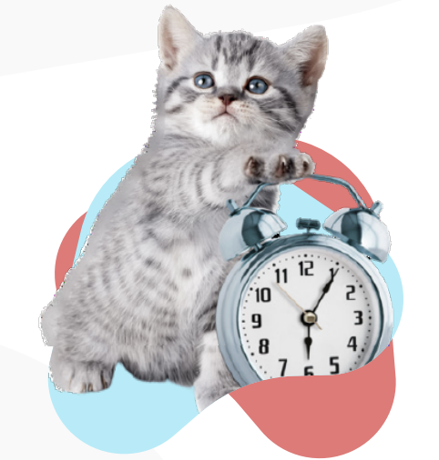 Gatito y alarma